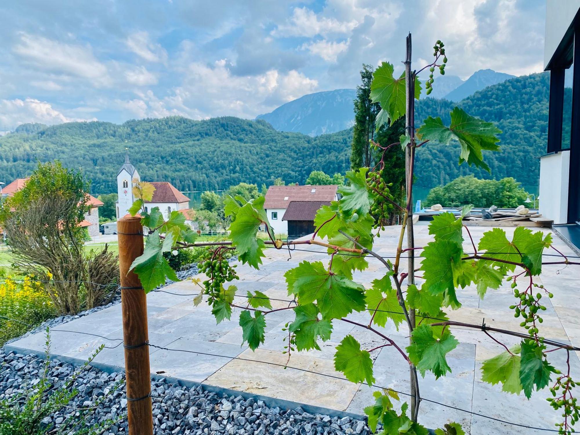 Luxury Mountain Lodge Fussen Exterior photo